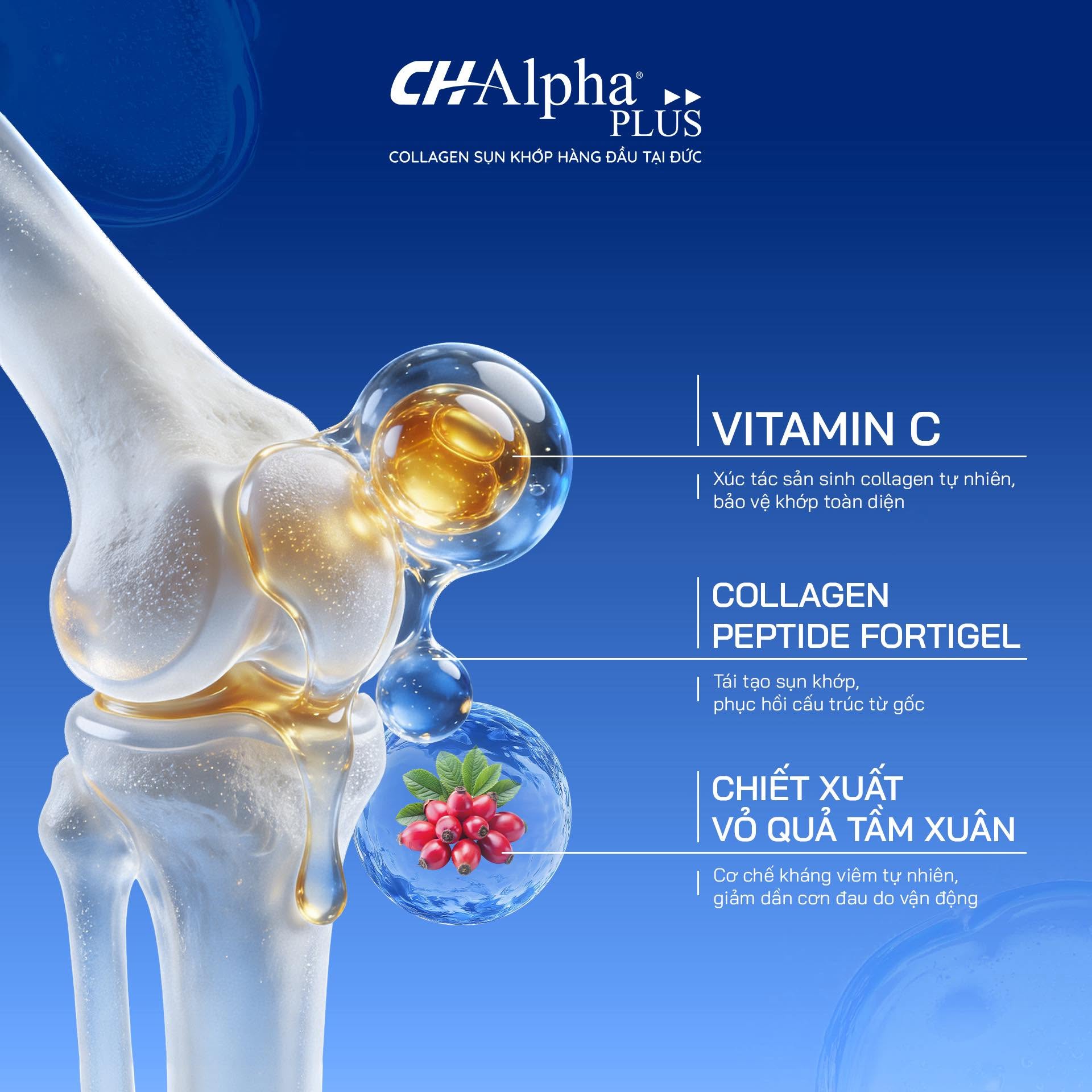 Ảnh sản phẩm 4